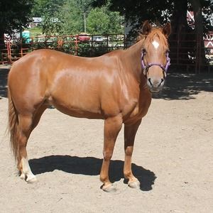 Meet your Posher, Rhonda